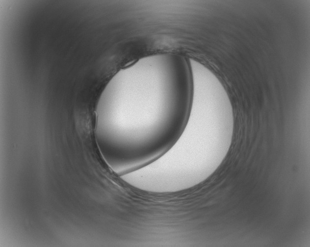 X0000070410617200606090957