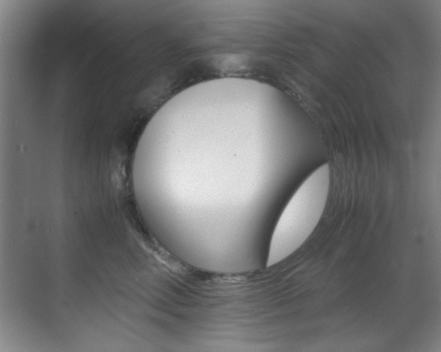 X0000070410618200606090957