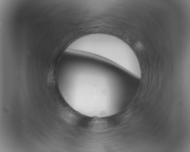 X0000070410619200606090957