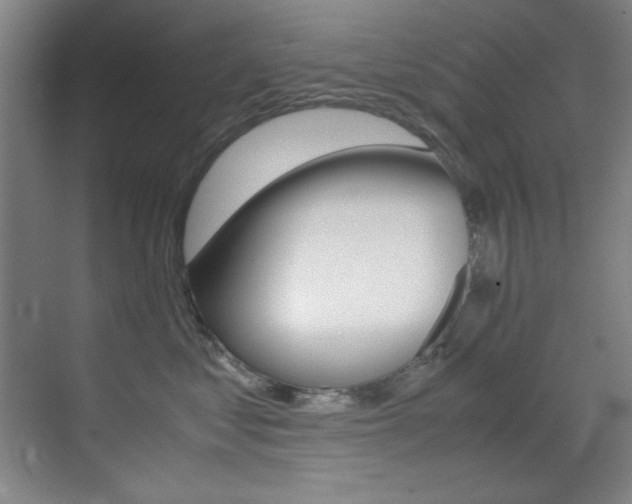 X0000070410621200606090957