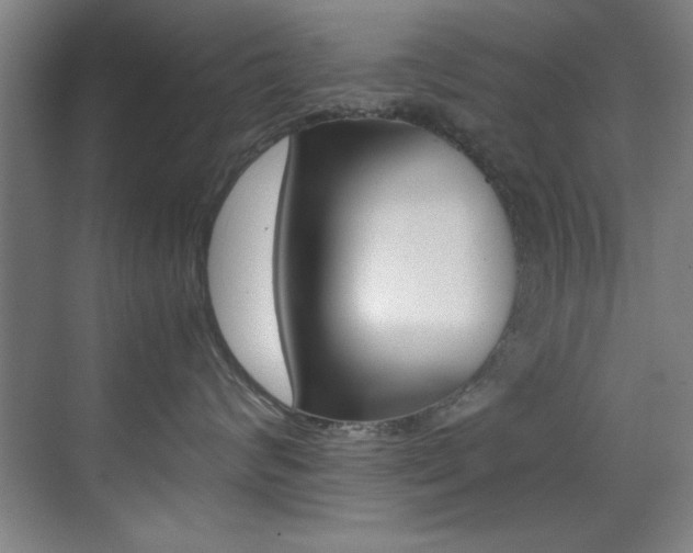 X0000070410624200606090957