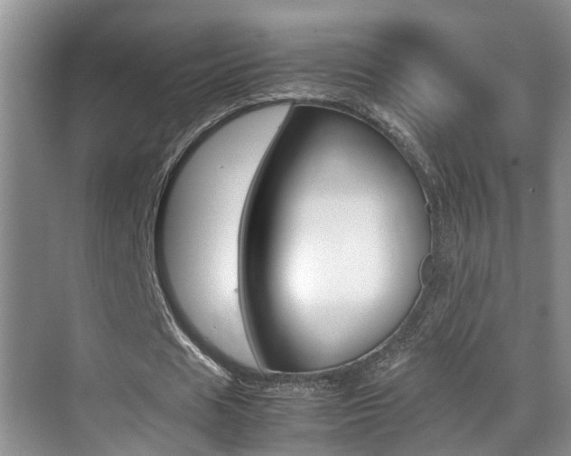 X0000070410625200606090956