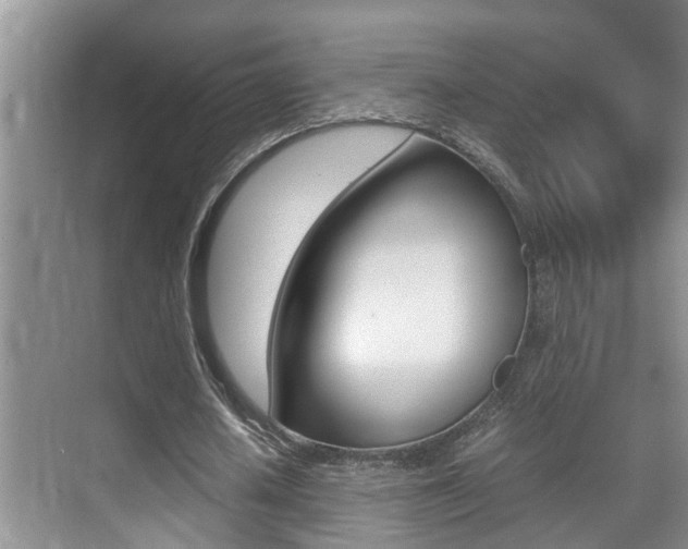 X0000070410626200606090956