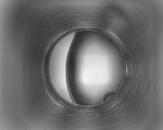 X0000070410627200606090956