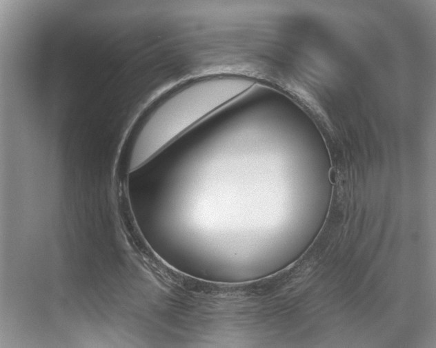 X0000070410628200606090956