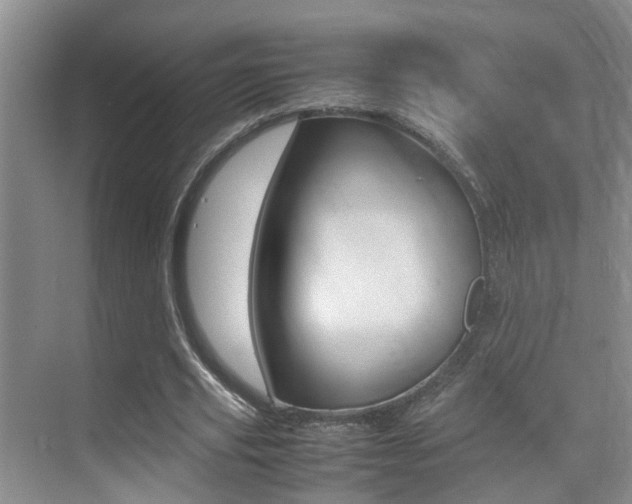 X0000070410629200606090956