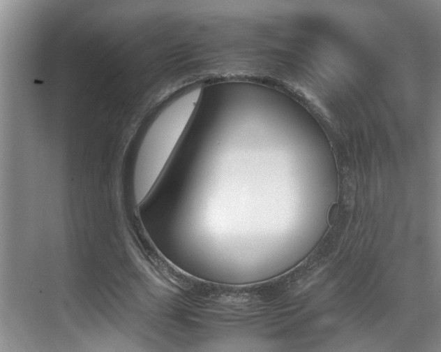 X0000070410631200606090956