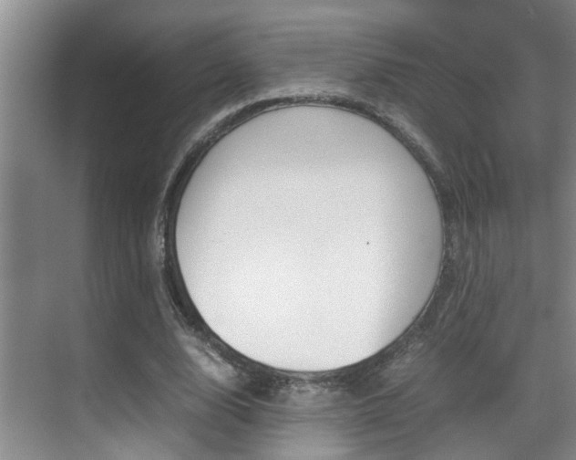 X0000070410632200606090956