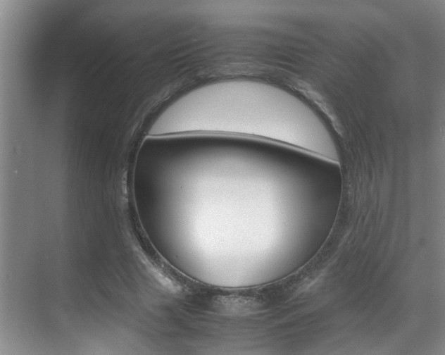 X0000070410633200606090956