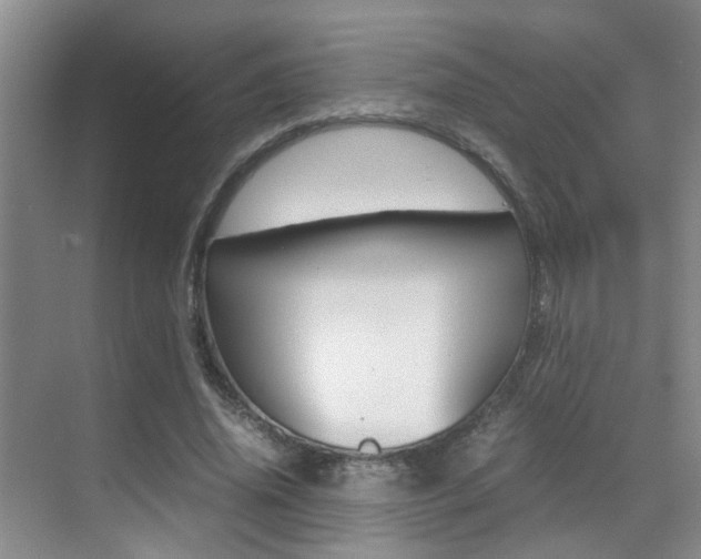 X0000070410636200606090956