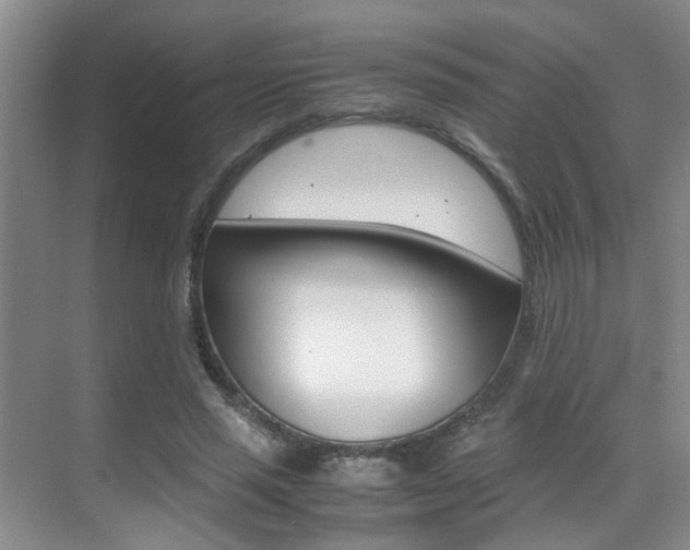 X0000070410637200606090956