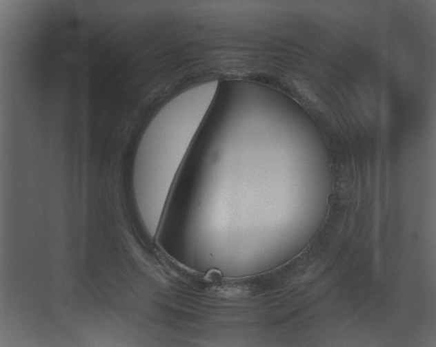 X0000070410639200606090956