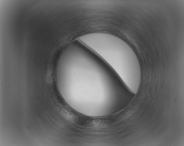 X0000070410641200606090956