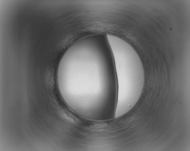 X0000070410642200606090956