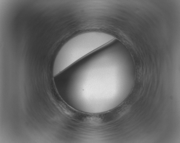 X0000070410644200606090956