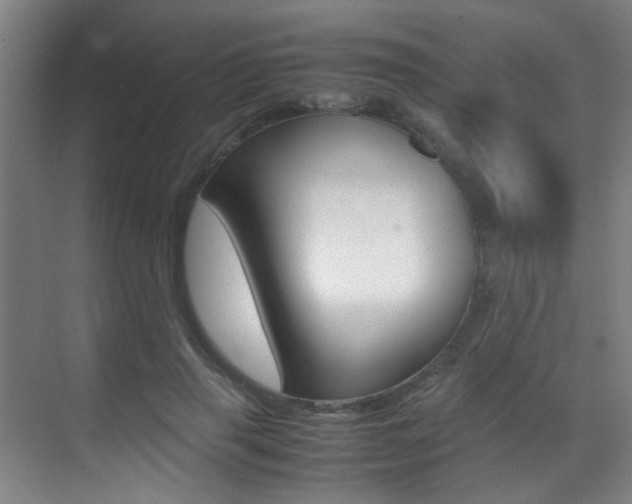 X0000070410645200606090956