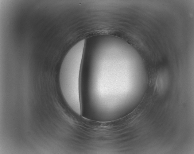 X0000070410647200606090956