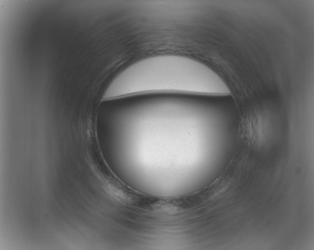 X0000070410648200606090956