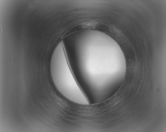 X0000070410649200606090956