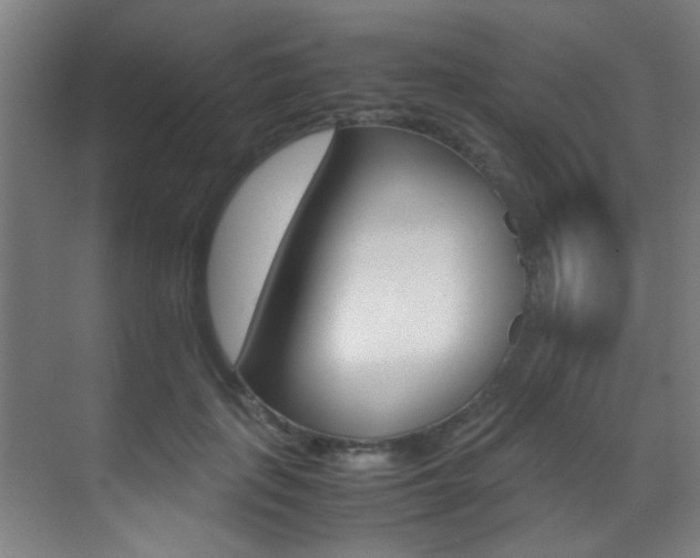 X0000070410651200606090957