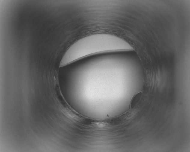 X0000070410654200606090957