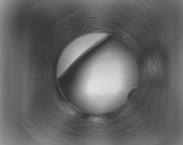 X0000070410655200606090957