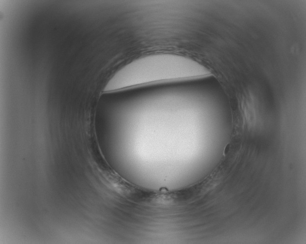 X0000070410656200606090957