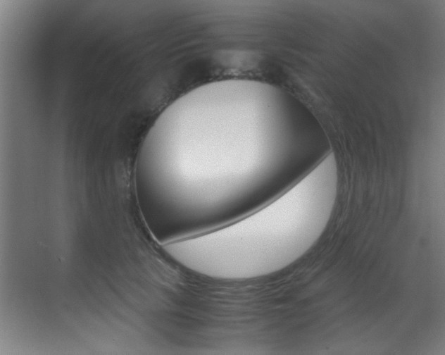 X0000070410657200606090957