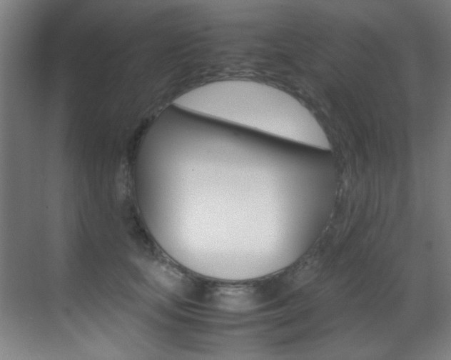 X0000070410659200606090957