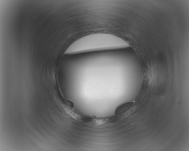 X0000070410662200606090957