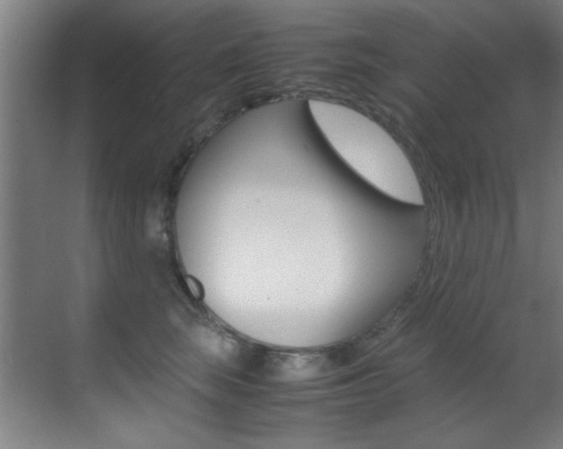 X0000070410663200606090957