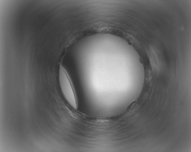 X0000070410664200606090957