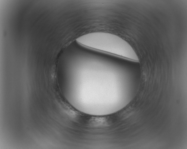 X0000070410665200606090957