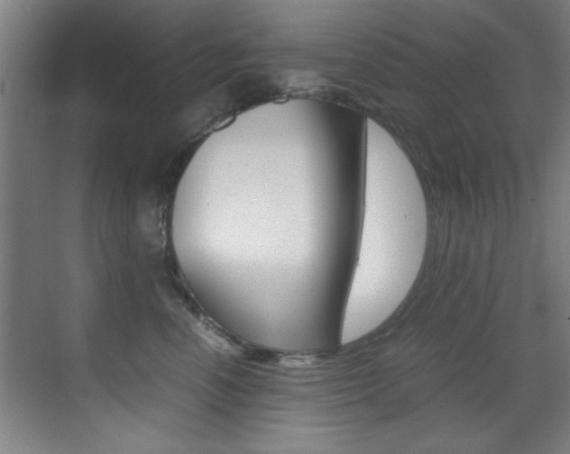 X0000070410666200606090957