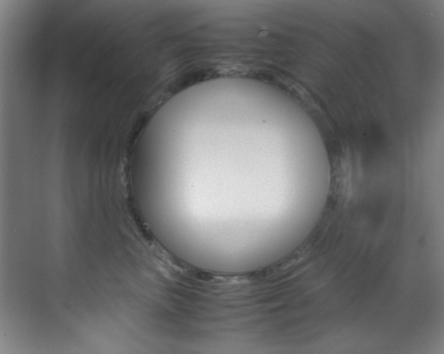 X0000070410667200606090957