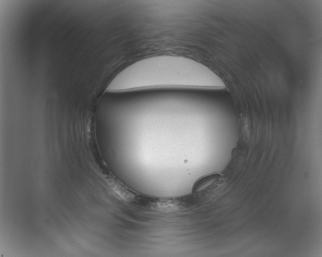 X0000070410668200606090957