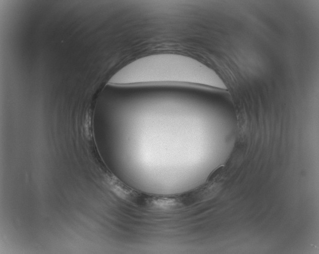 X0000070410669200606090957