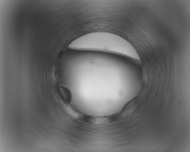 X0000070410670200606090957