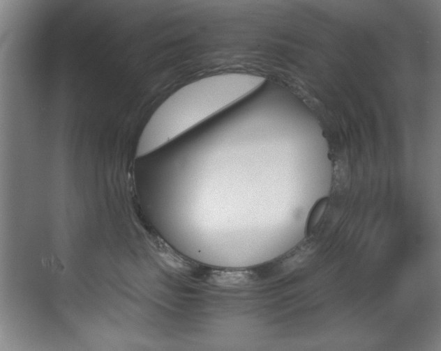 X0000070410671200606090957