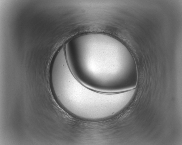 X0000070410673200606090956