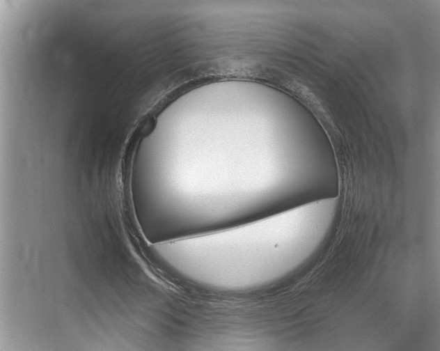 X0000070410674200606090956