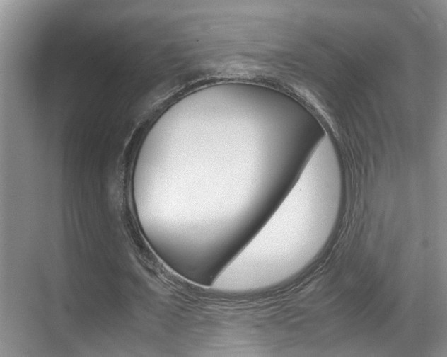 X0000070410675200606090956