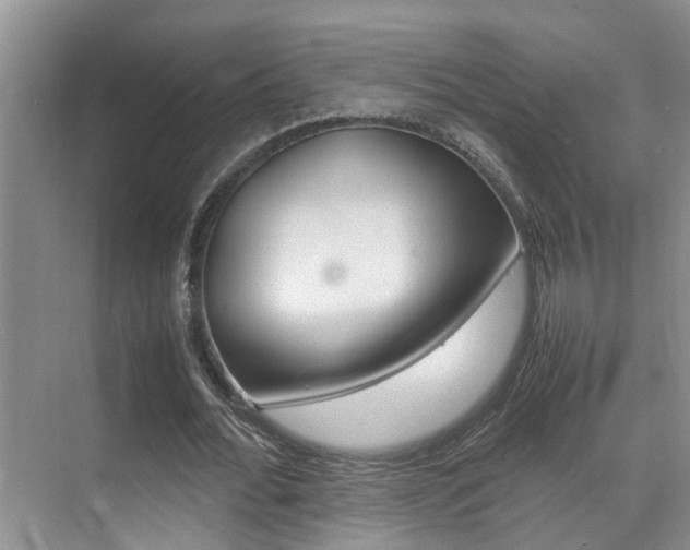 X0000070410676200606090956