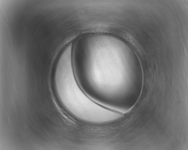 X0000070410677200606090956