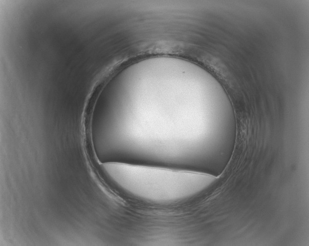 X0000070410678200606090956