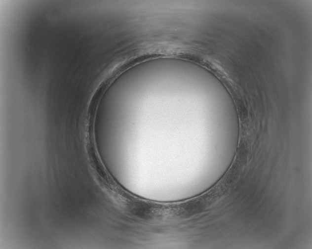 X0000070410679200606090956