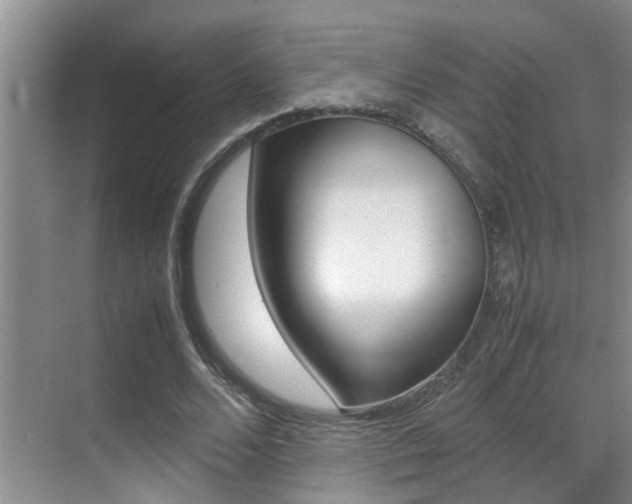 X0000070410680200606090956