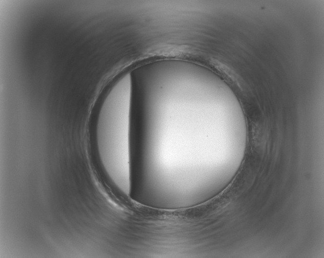 X0000070410682200606090956