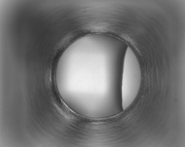 X0000070410686200606090956