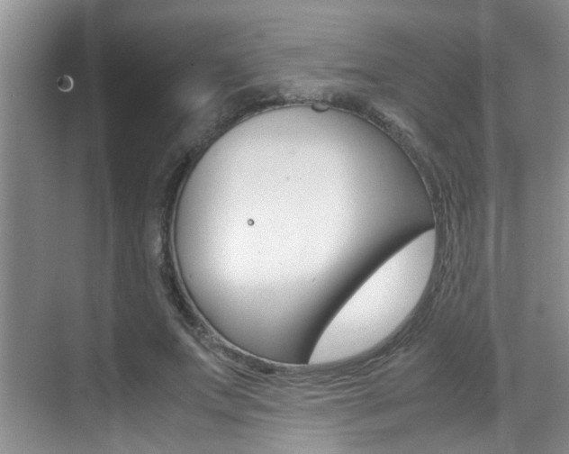 X0000070410687200606090956